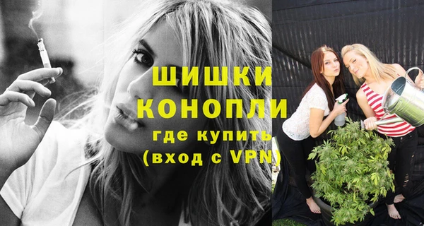 стаф Новокубанск