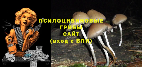 mdma Бородино