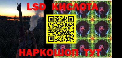 стафф Гатчина