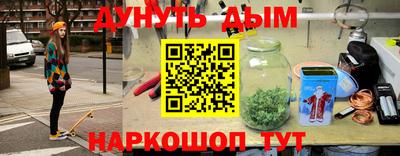 стафф Гатчина