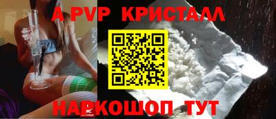стафф Гатчина