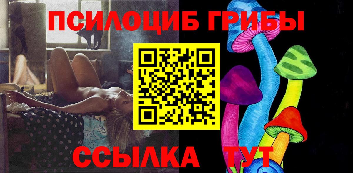 Галлюциногенные грибы мухоморы  Луга  где купить   Галлюциногенные грибы Psilocybine cubensis 