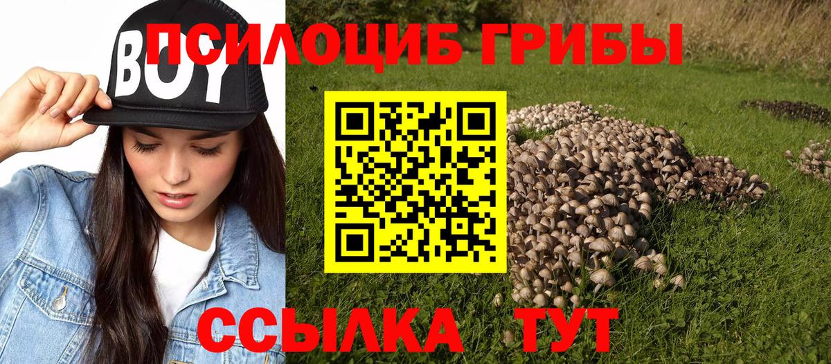 Луга  Галлюциногенные грибы мухоморы  Вход с VPN  Галлюциногенные грибы Magic Shrooms 