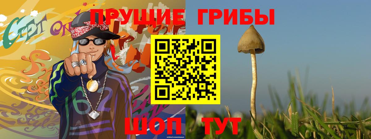 Псилоцибиновые грибы Psilocybe Луга