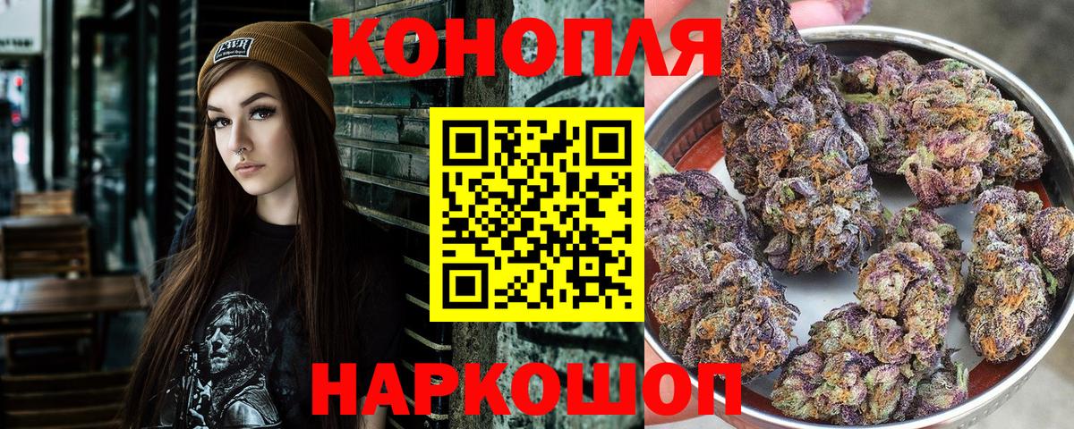 ГАШ Луга